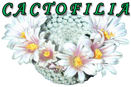 Cactofilia - La passione per i cactus e le piante grasse