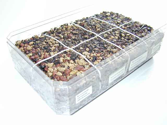 seed-bed